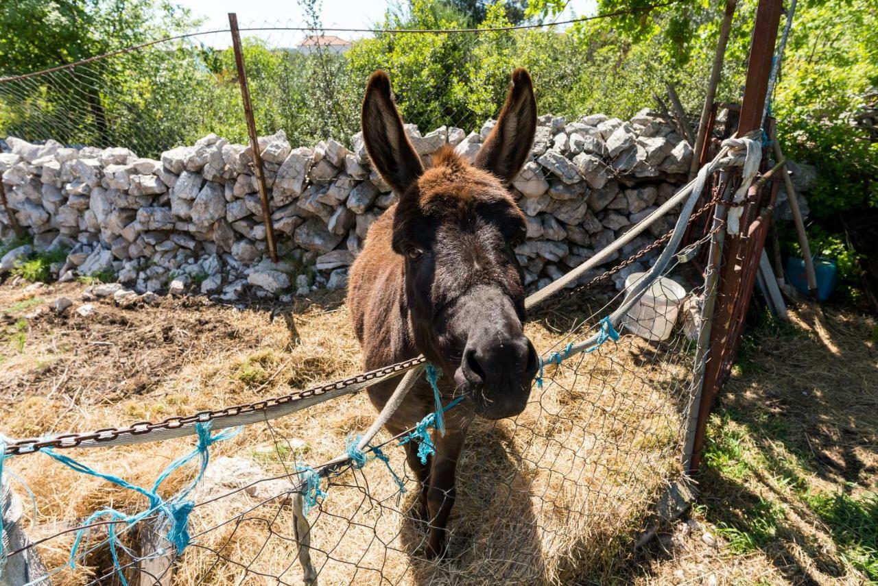 Authentic Camping Dalmatia Pirovac Εξωτερικό φωτογραφία