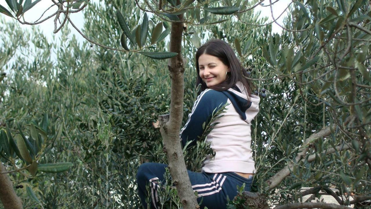 Authentic Camping Dalmatia Pirovac Εξωτερικό φωτογραφία